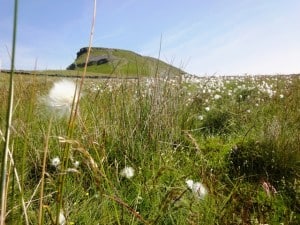 Pen Y Ghent