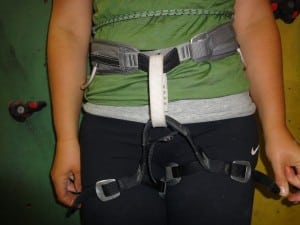 Trad harness